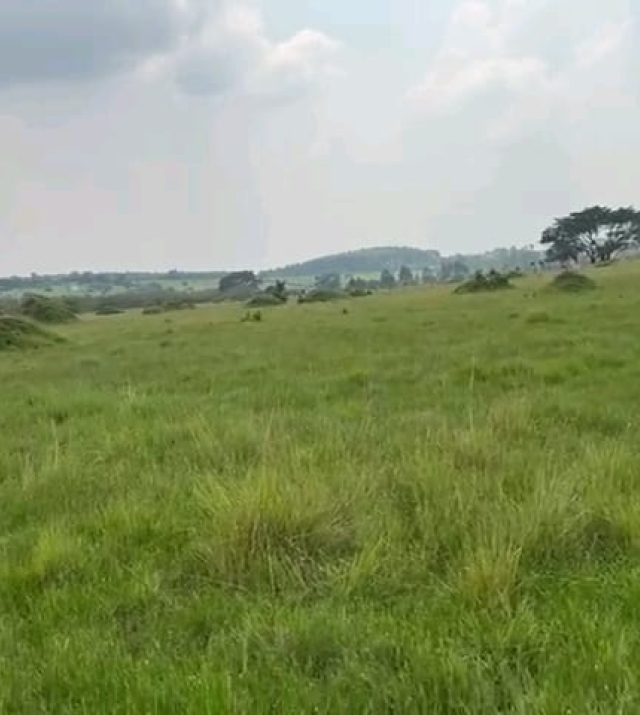 WhatsApp Image 2024-06-25 at 1.32.40 PM.jpeg